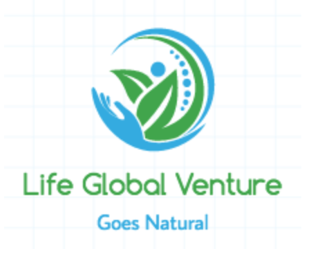 global venture company global venture company